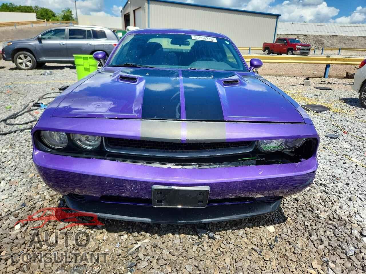 DODGE CHALLENGER 2013 - 2C3CDYAG9DH596355