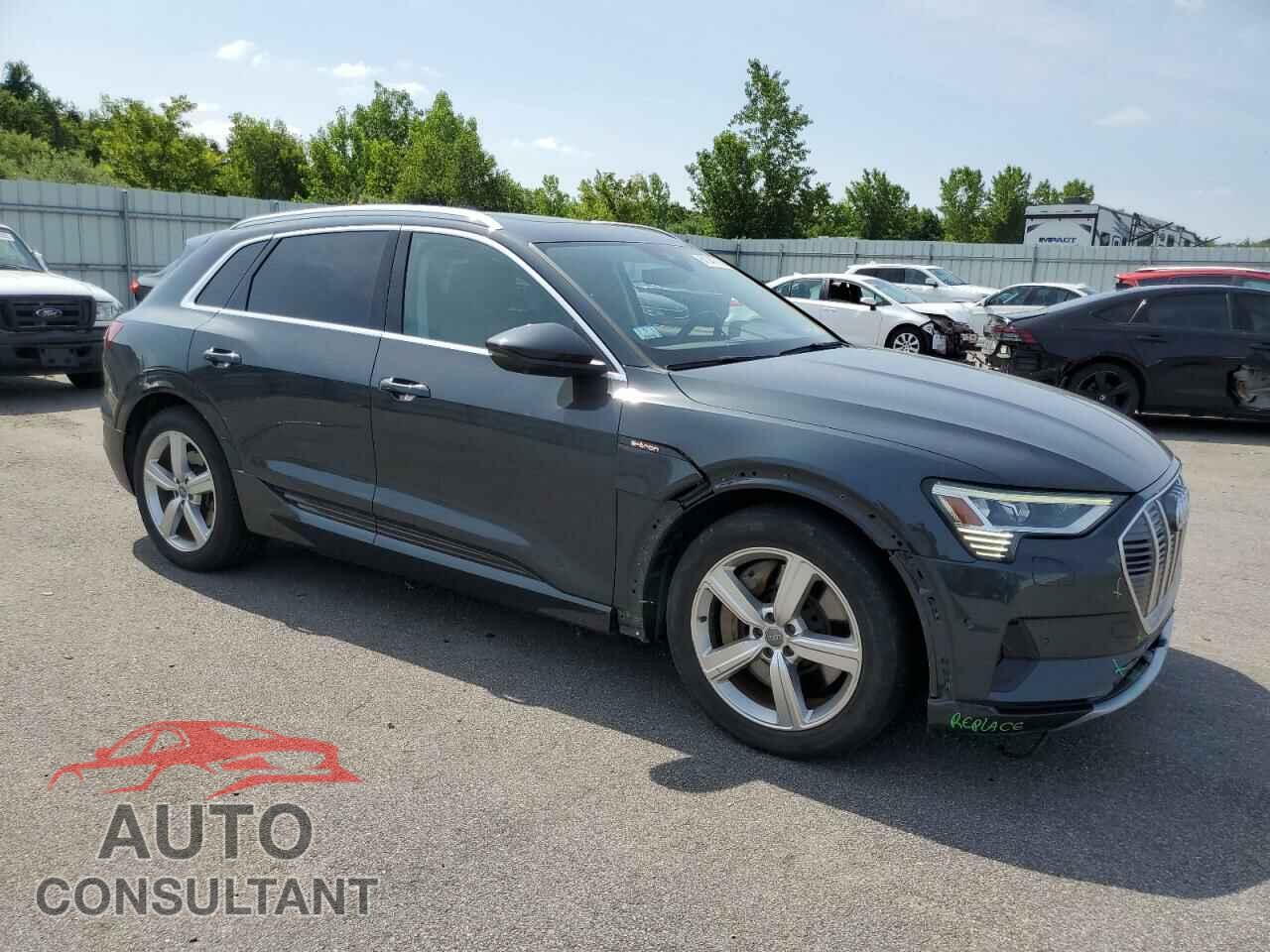 AUDI E-TRON 2019 - WA1VAAGE4KB012244