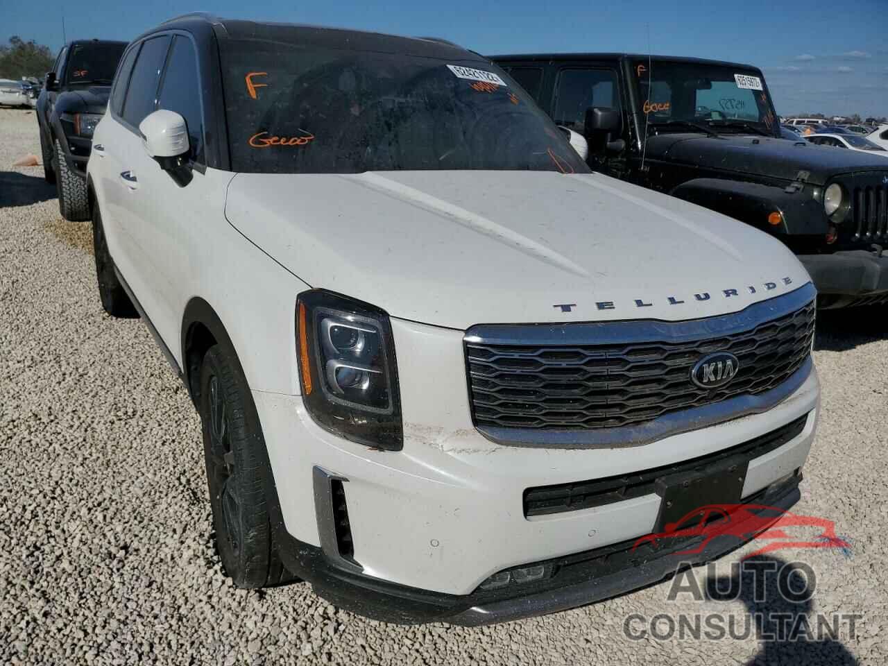 KIA TELLURIDE 2020 - 5XYP5DHCXLG011348