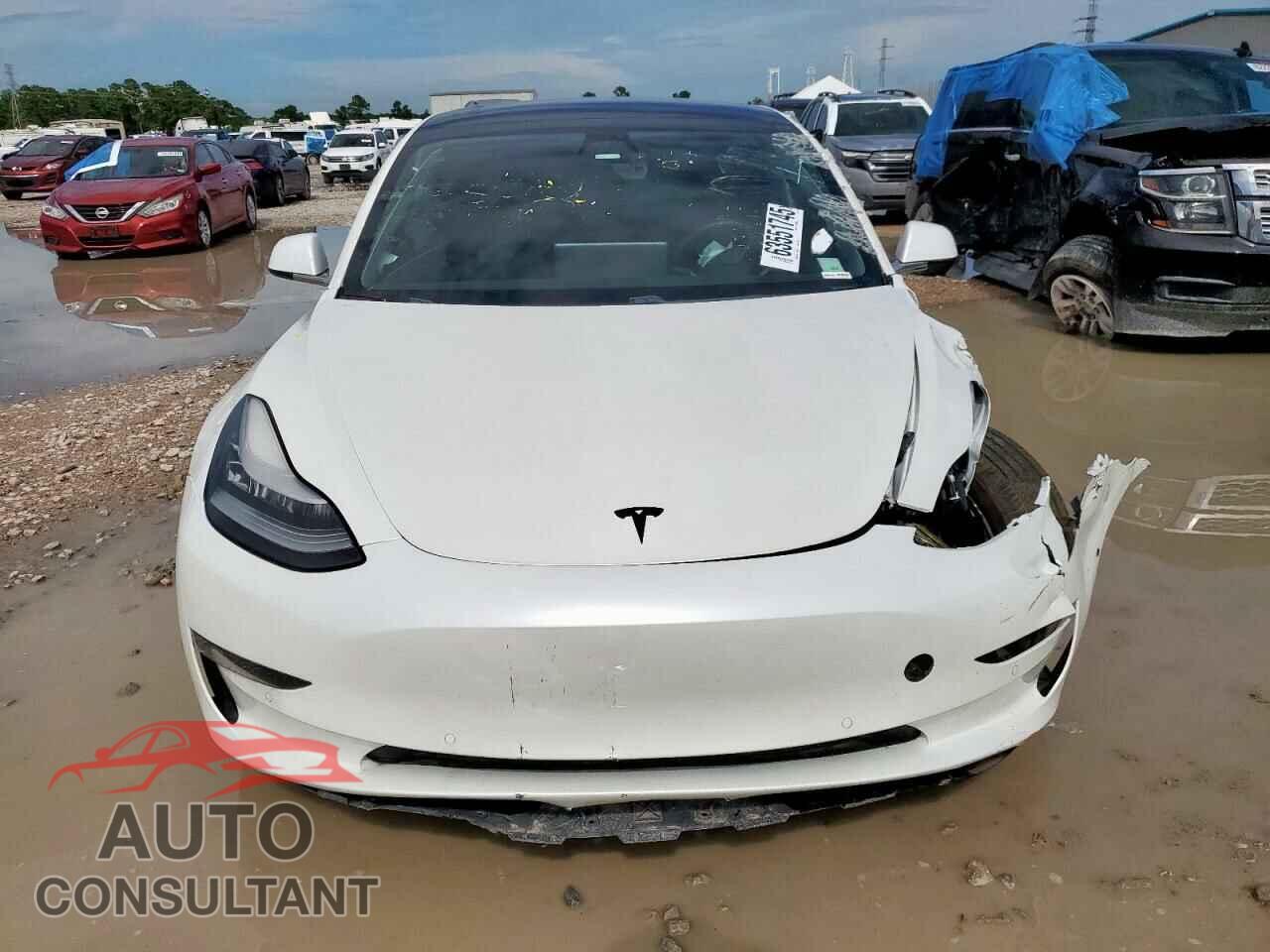 TESLA MODEL 3 2020 - 5YJ3E1EA4LF737357