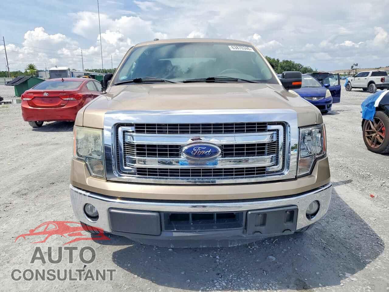 FORD F150 2014 - 1FTFW1CT2EKE96077