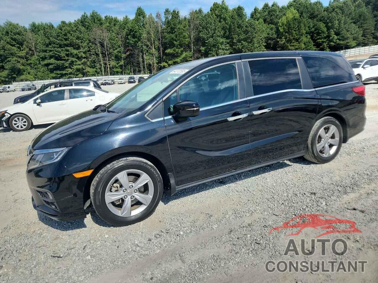 HONDA All Models 2019 - 5FNRL6H58KB136964