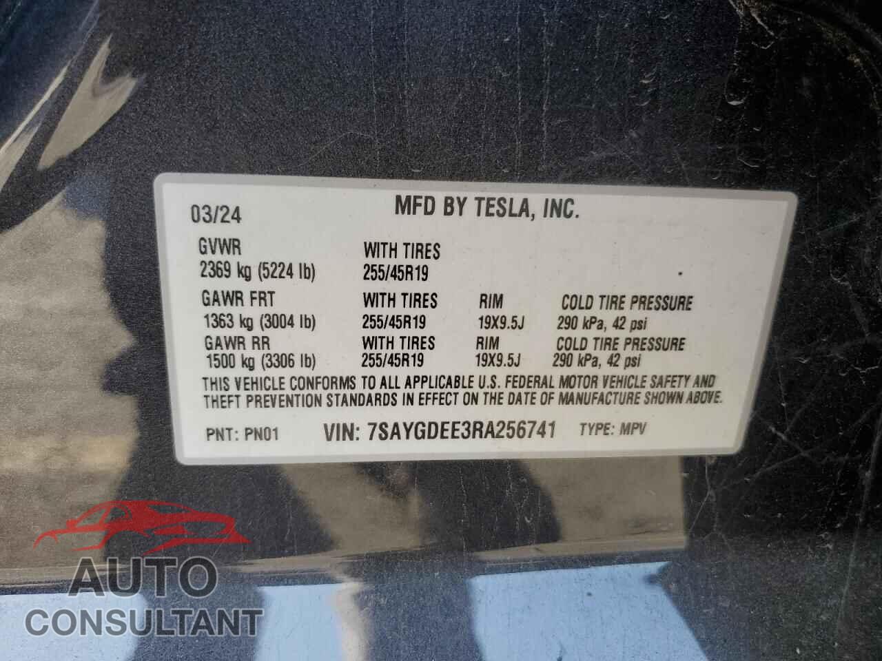 TESLA MODEL Y 2024 - 7SAYGDEE3RA256741