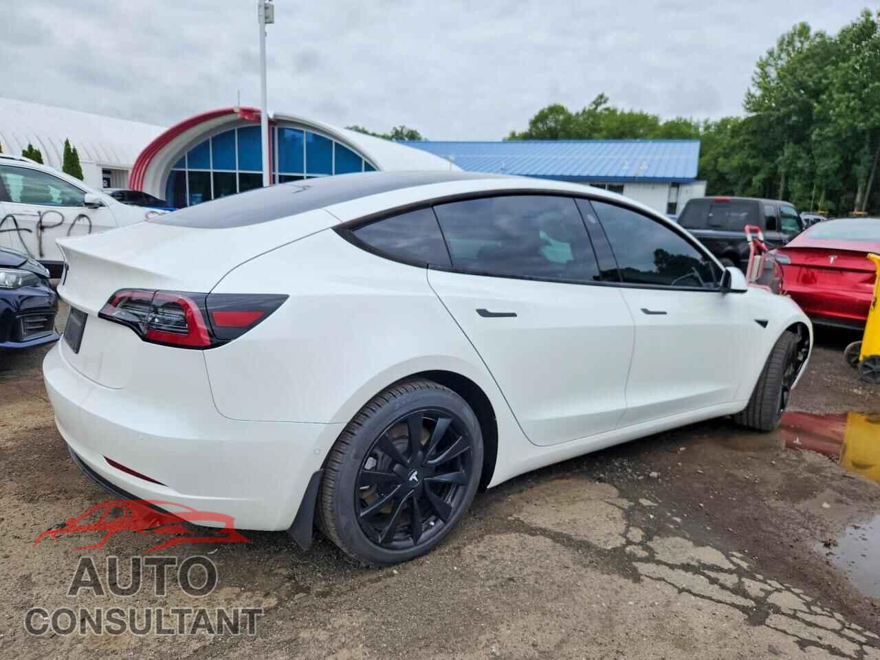 TESLA MODEL 3 2021 - 5YJ3E1EA3MF043812