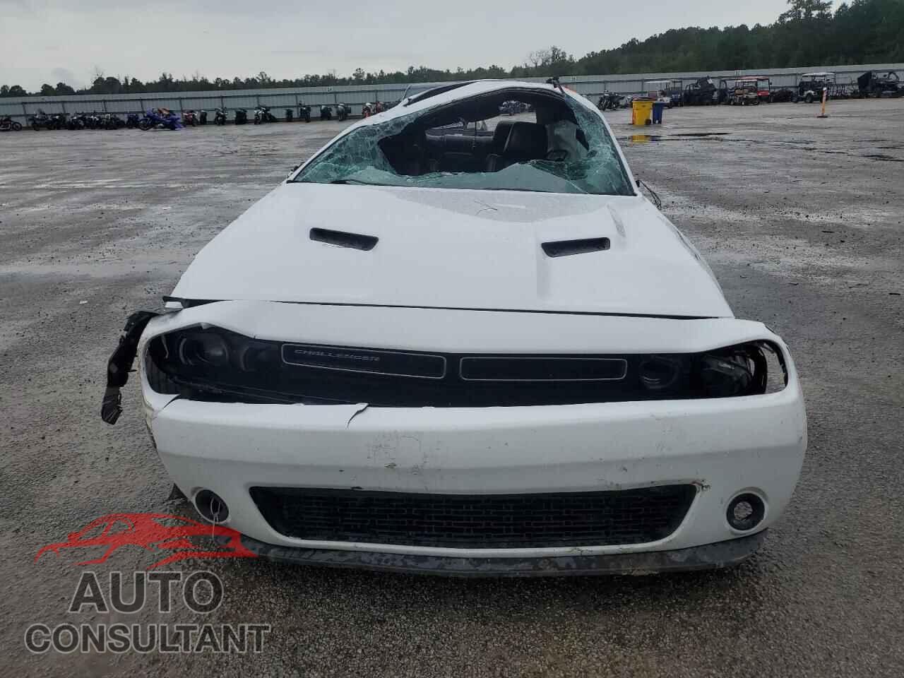 DODGE CHALLENGER 2019 - 2C3CDZAG8KH751853