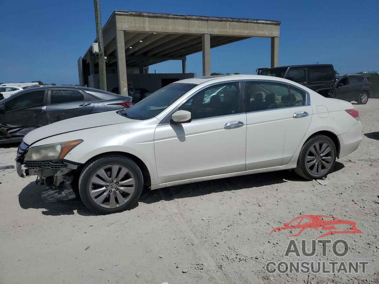 HONDA ACCORD 2011 - 5KBCP3F81BB001963
