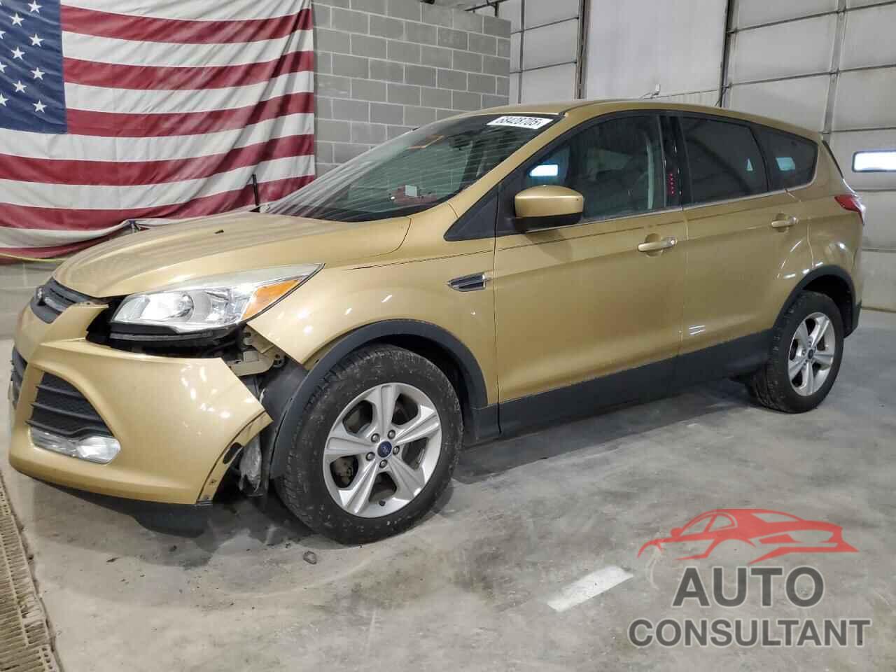 FORD ESCAPE 2014 - 1FMCU0GX4EUE00398