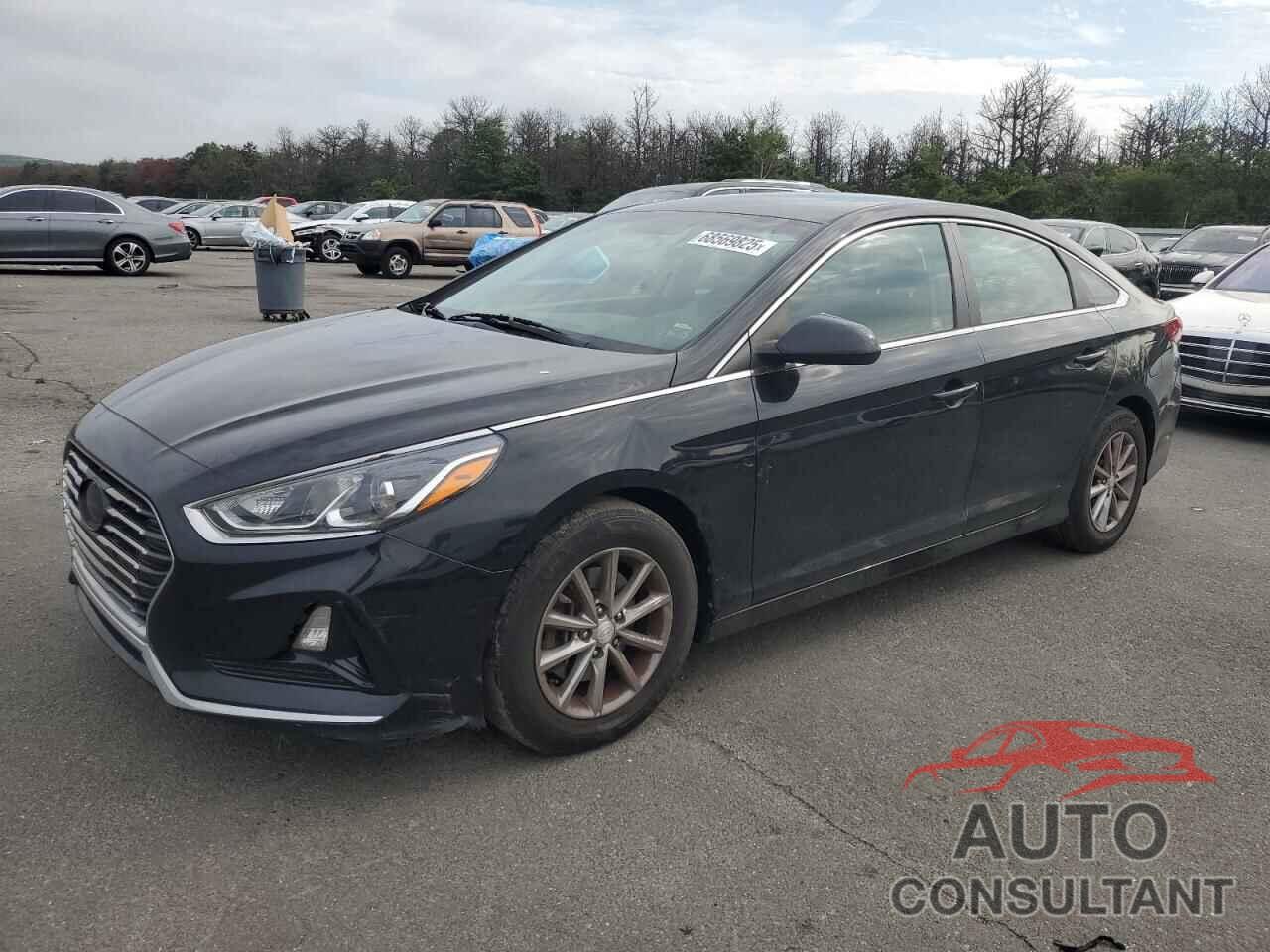 HYUNDAI SONATA 2019 - 5NPE24AFXKH741997