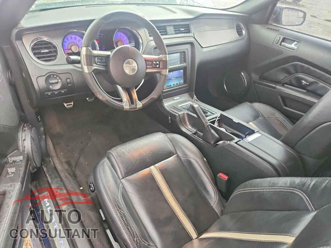 FORD MUSTANG 2011 - 1ZVBP8FF6B5110066