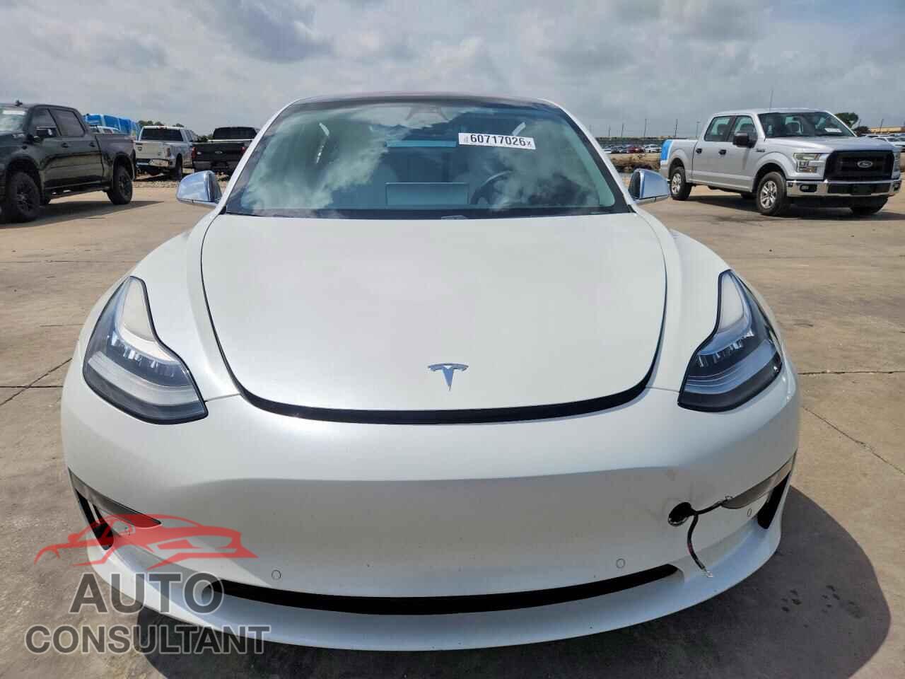 TESLA MODEL 3 2019 - 5YJ3E1EB8KF513659