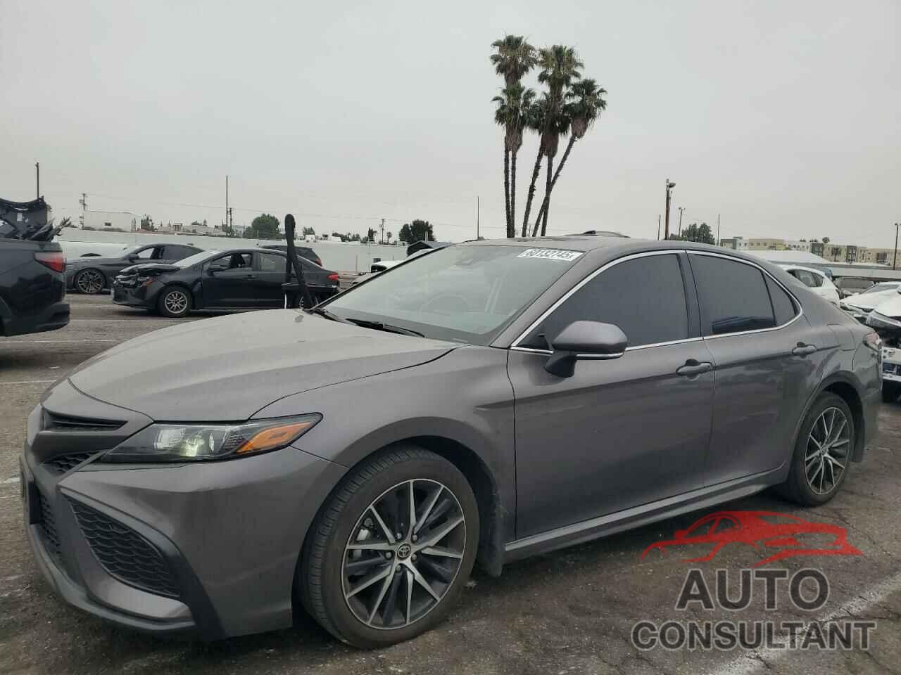 TOYOTA CAMRY 2023 - 4T1T11AK3PU801522