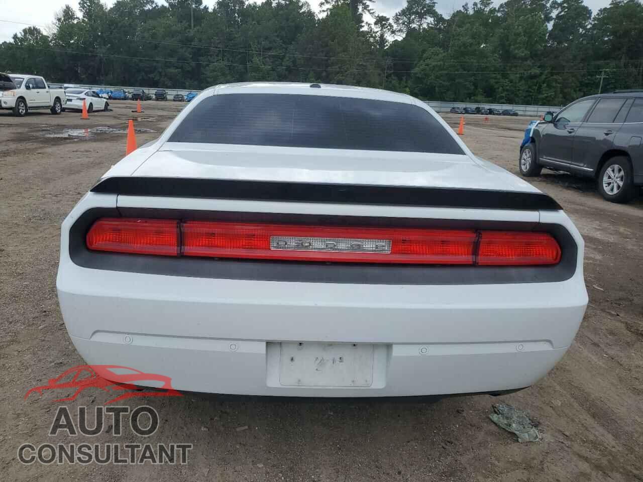 DODGE CHALLENGER 2013 - 2C3CDYBT2DH511366