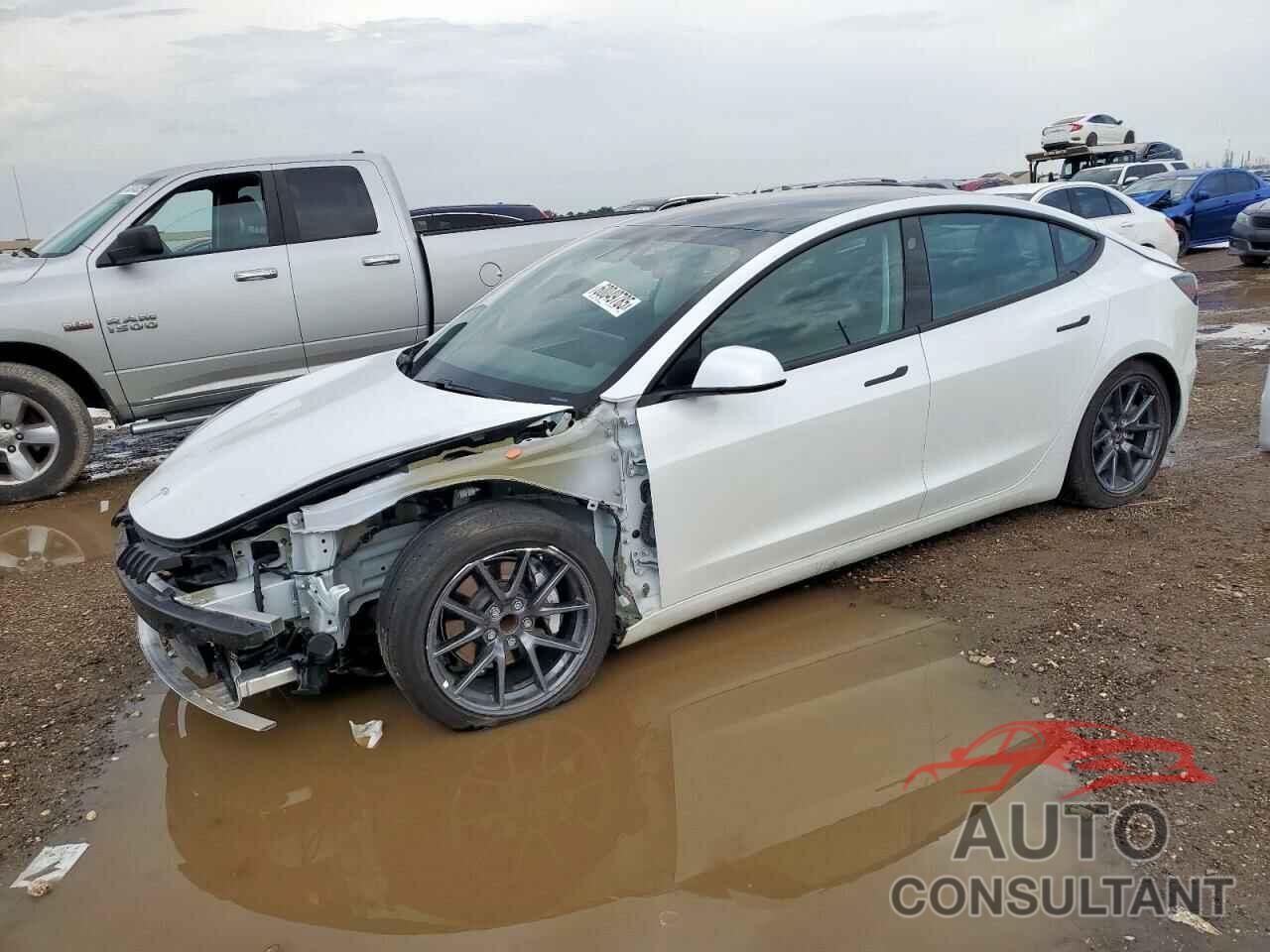 TESLA MODEL 3 2021 - 5YJ3E1EA0MF981802