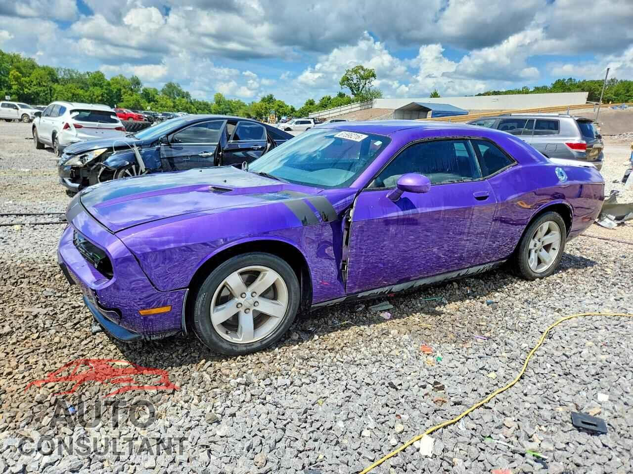 DODGE CHALLENGER 2013 - 2C3CDYAG9DH596355