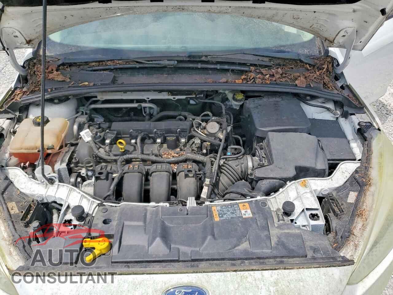 FORD FOCUS 2016 - 1FADP3F20GL347981
