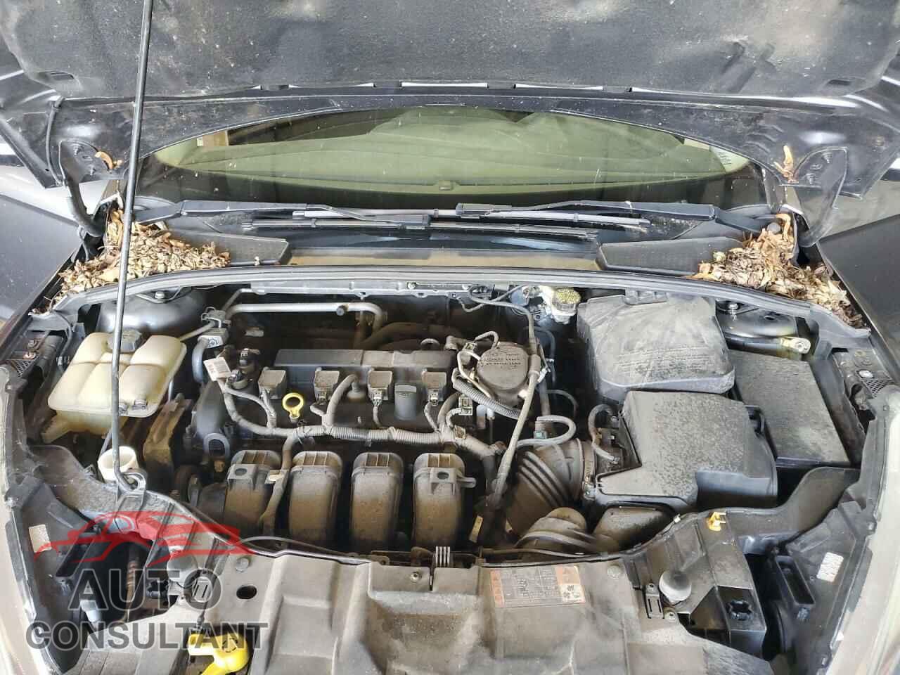 FORD FOCUS 2016 - 1FADP3F26GL229143