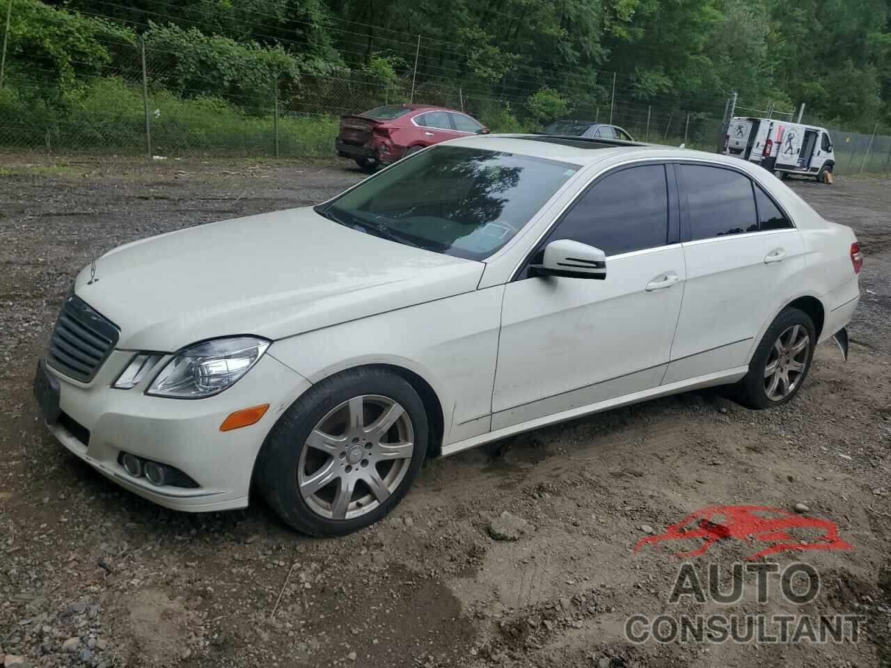 MERCEDES-BENZ E-CLASS 2010 - WDDHF8HBXAA118080