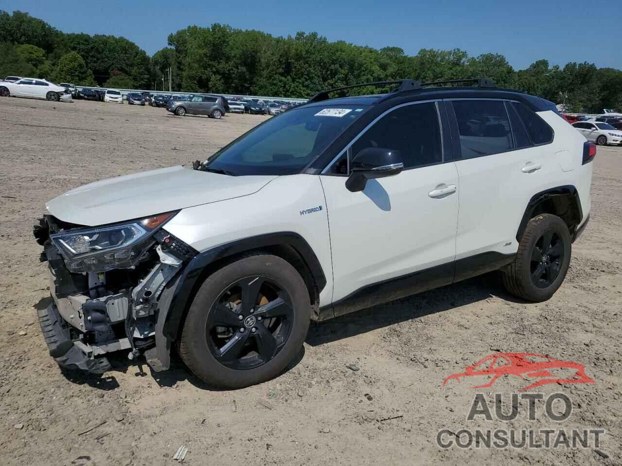 TOYOTA RAV4 2019 - JTMEWRFV9KJ022460