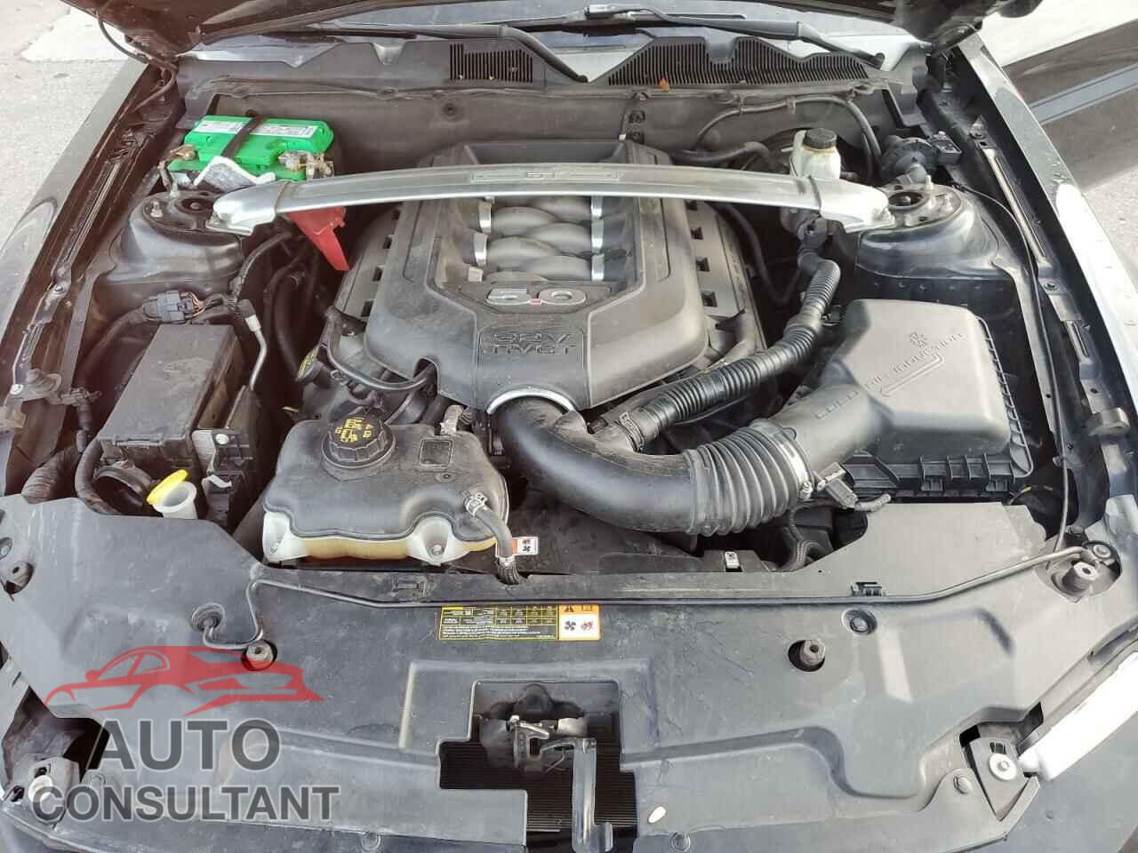 FORD MUSTANG 2011 - 1ZVBP8FF9B5114340