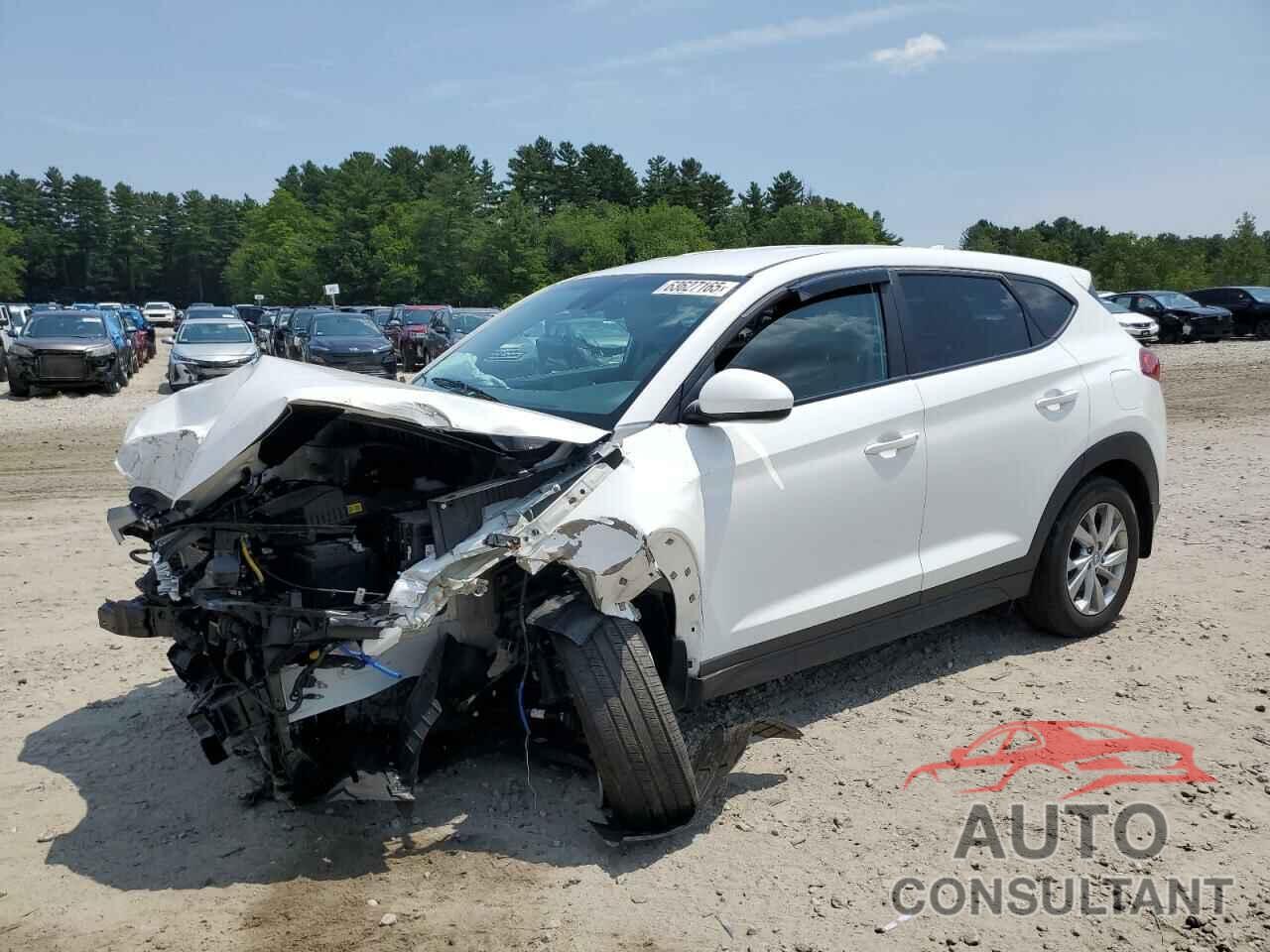 HYUNDAI TUCSON 2020 - KM8J2CA49LU143510