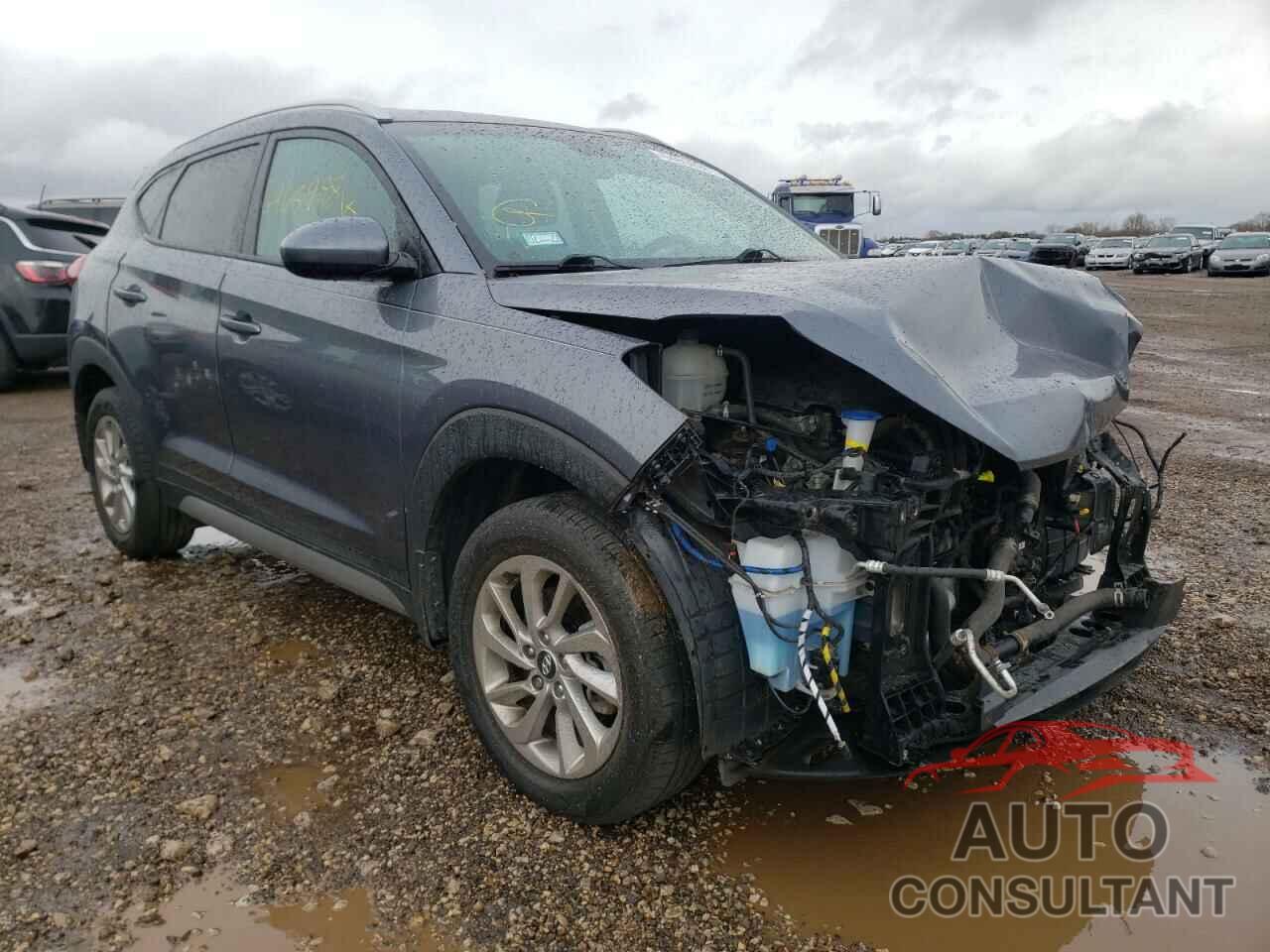 HYUNDAI TUCSON 2017 - KM8J3CA49HU288924