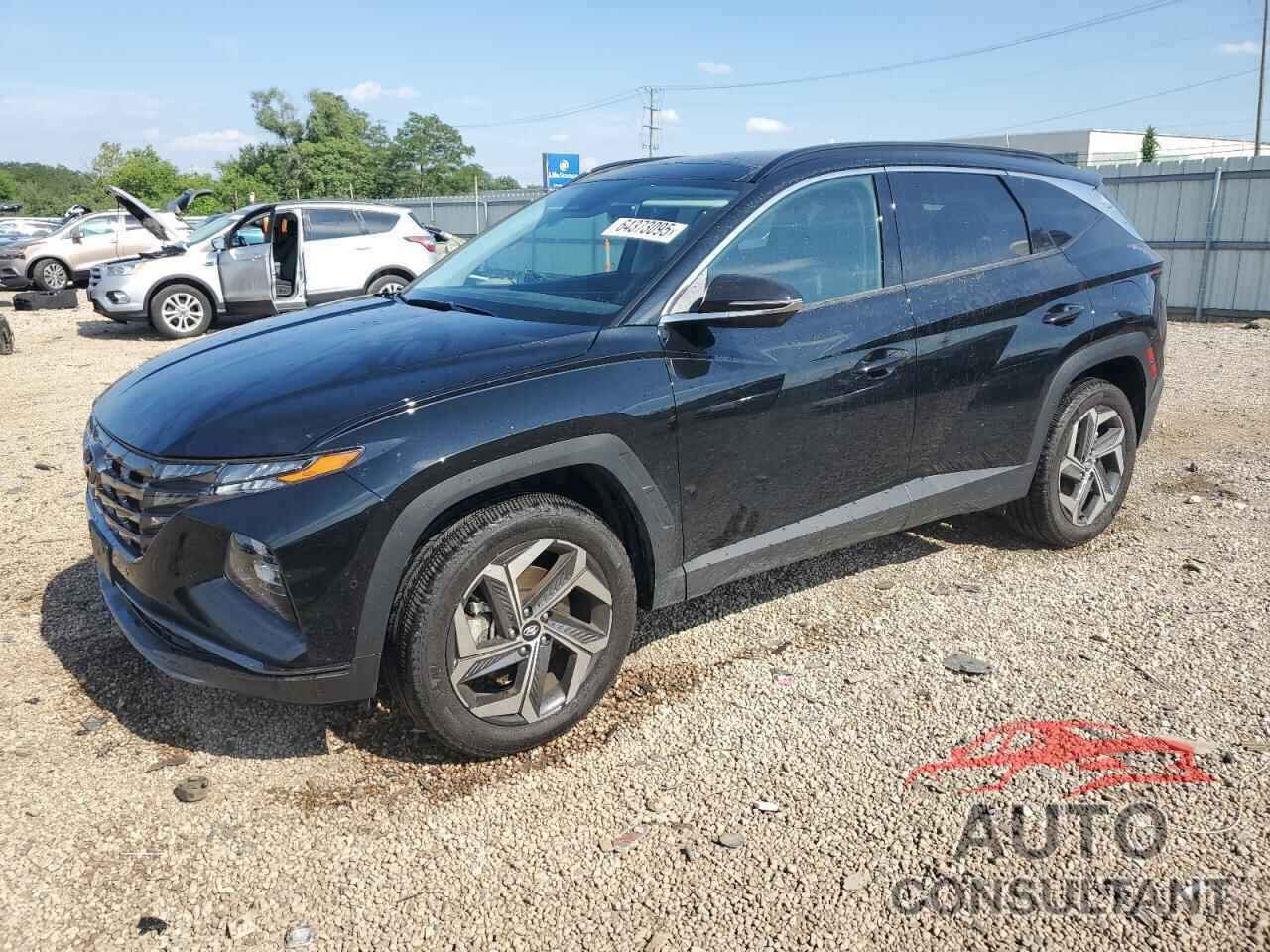 HYUNDAI TUCSON 2024 - 5NMJECDE9RH438929