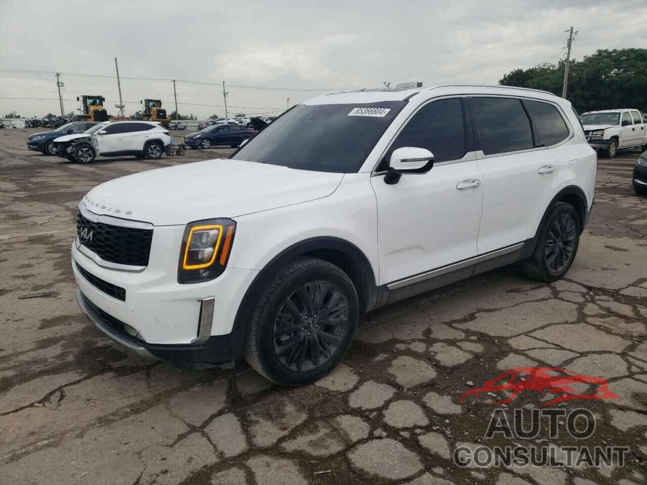 KIA TELLURIDE 2022 - 5XYP54HC6NG265657