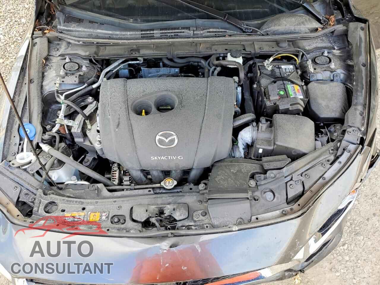 MAZDA 3 2019 - JM1BPACL6K1108412