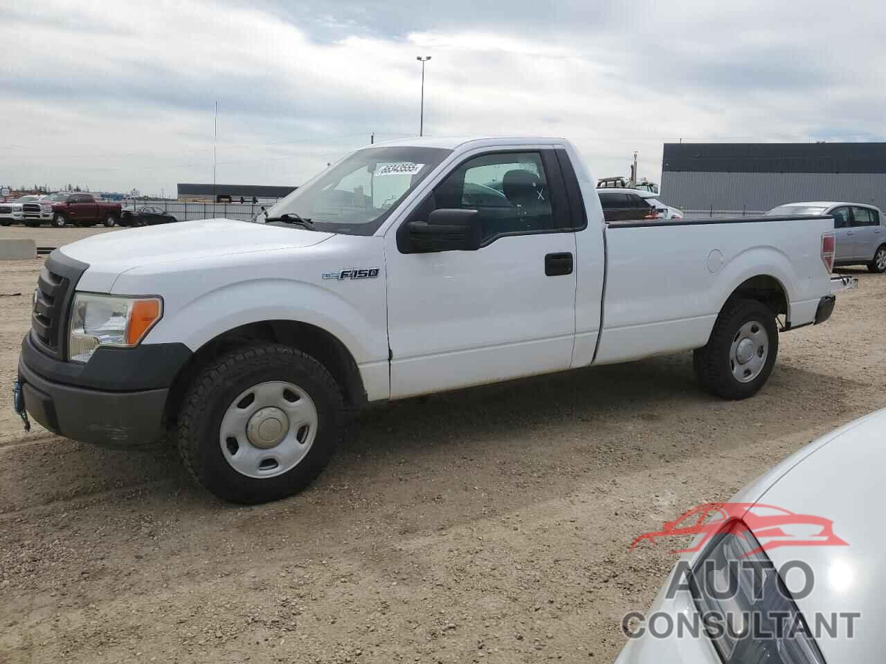 FORD All Models 2009 - 1FTRF12W09KB02834