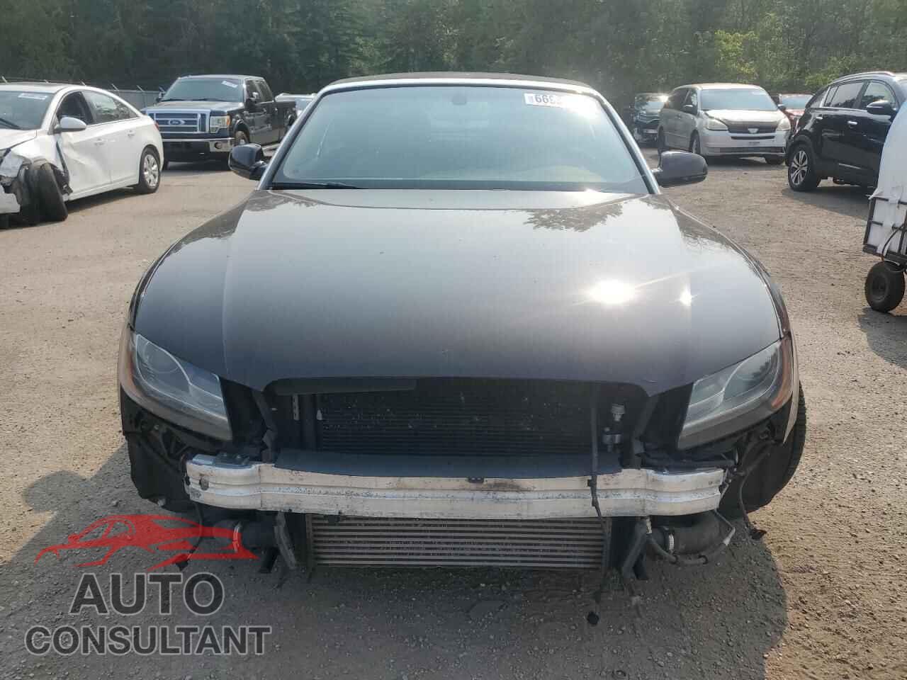 AUDI A5 2010 - WAULFBFH1AN006489