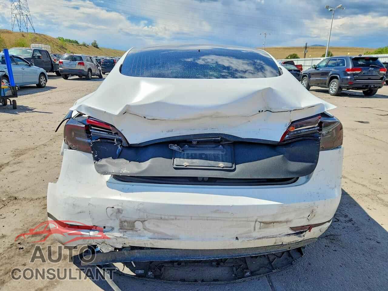 TESLA MODEL 3 2020 - 5YJ3E1EC0LF625091