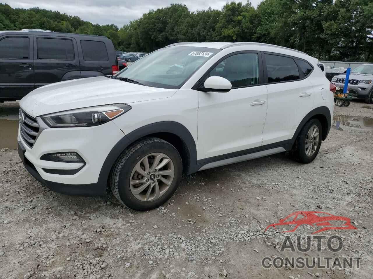 HYUNDAI TUCSON 2017 - KM8J3CA46HU440030