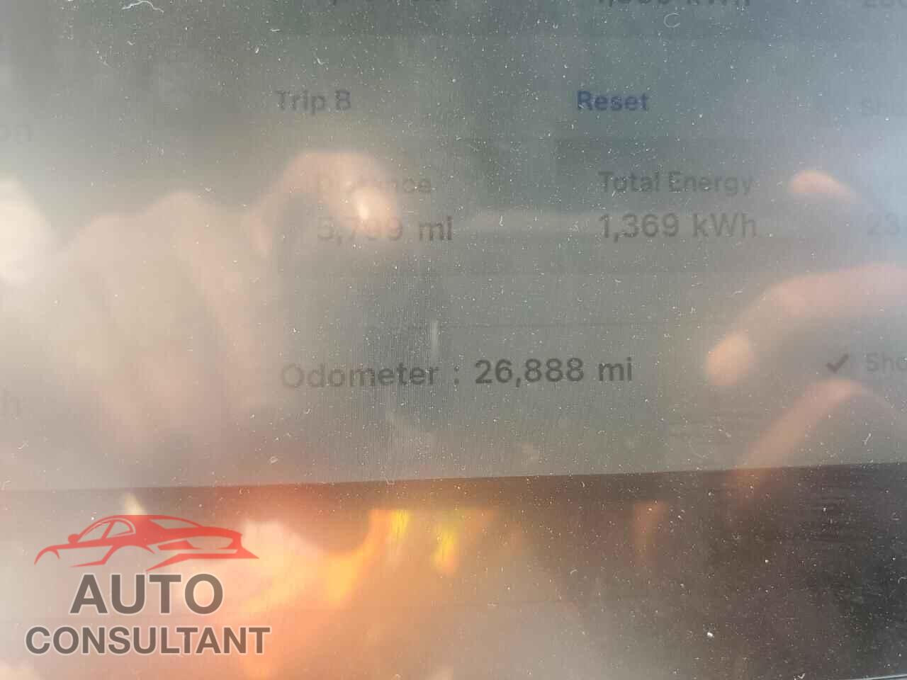 TESLA MODEL Y 2024 - 7SAYGDEE9RF161880