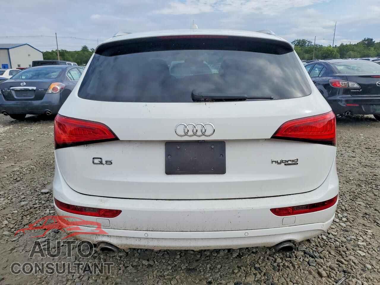 AUDI Q5 2013 - WA1C8AFP5DA007309