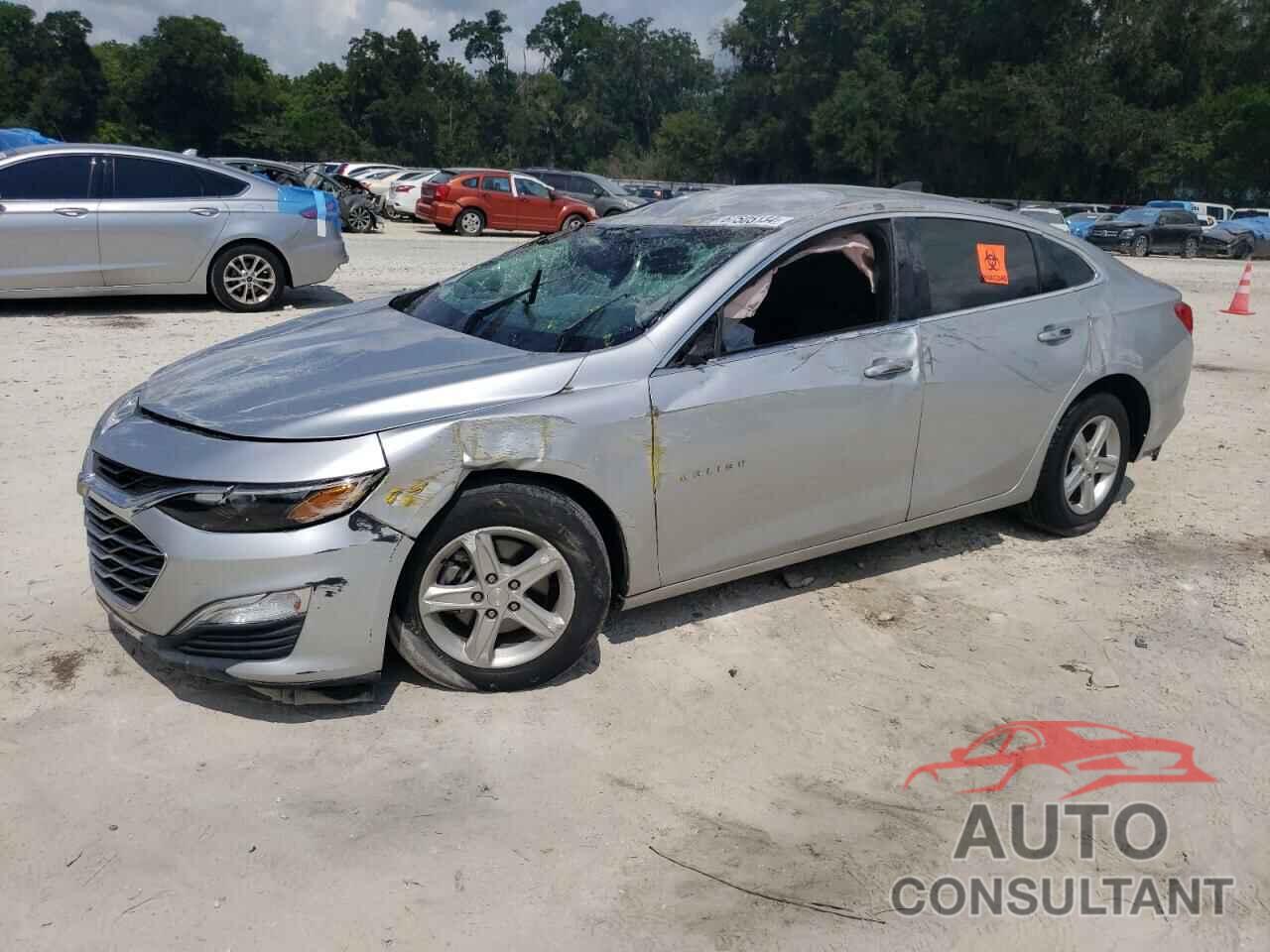 CHEVROLET MALIBU 2019 - 1G1ZB5ST8KF227662