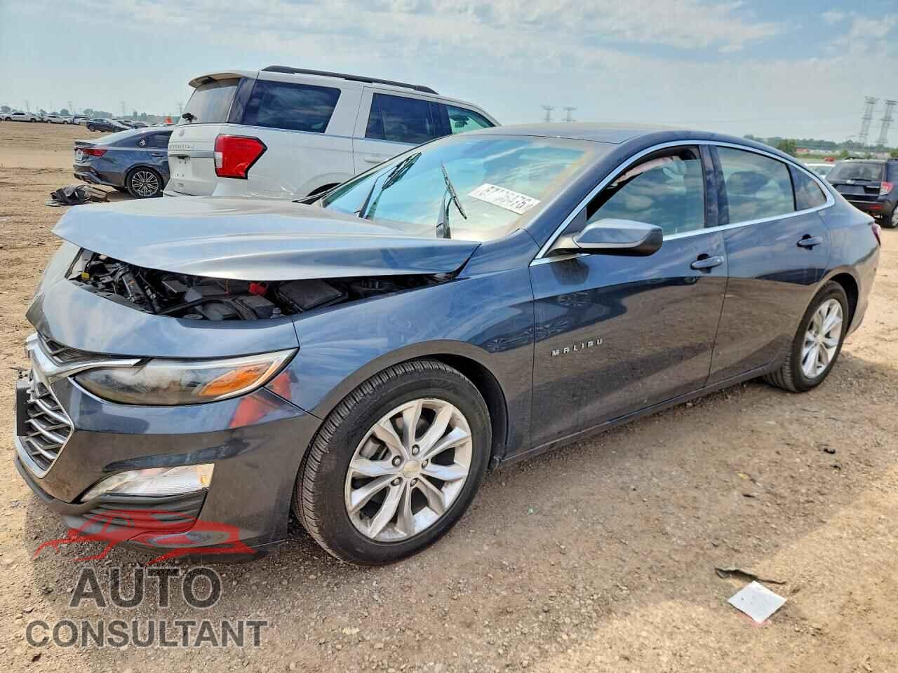 CHEVROLET MALIBU 2019 - 1G1ZD5ST8KF221497