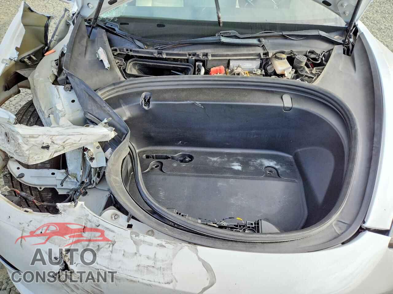 TESLA MODEL 3 2019 - 5YJ3E1EB2KF494820