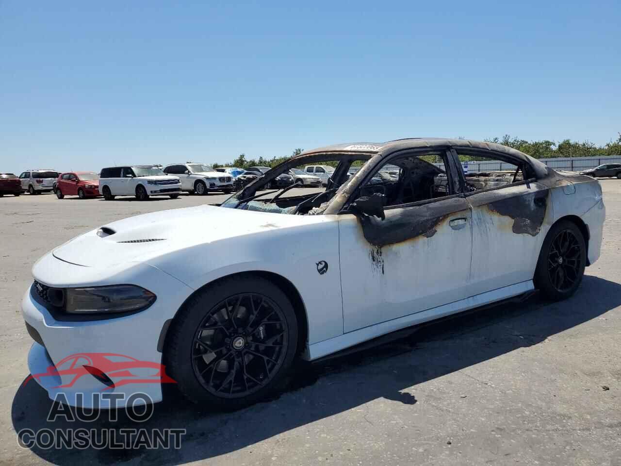 DODGE CHARGER 2023 - 2C3CDXGJ5PH607630