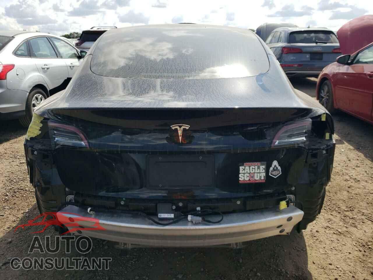 TESLA MODEL 3 2019 - 5YJ3E1EA1KF316937