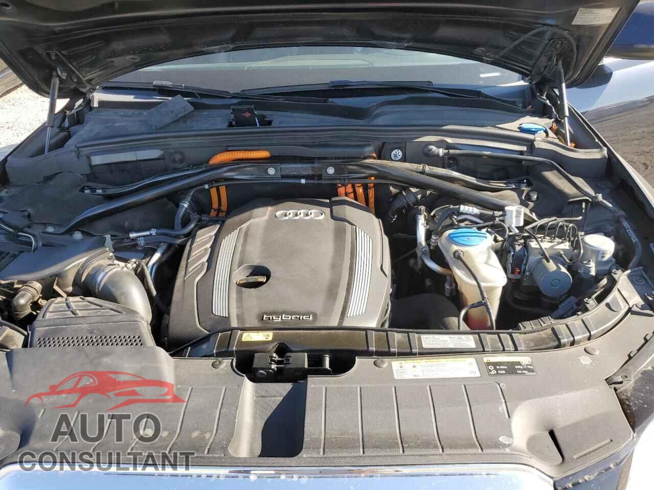 AUDI Q5 2013 - WA1C8AFP5DA063055