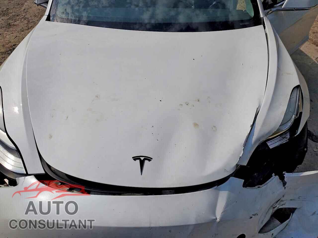 TESLA MODEL 3 2019 - 5YJ3E1EB8KF211675