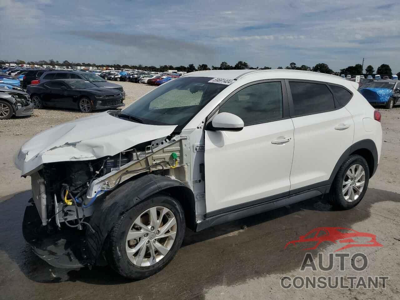 HYUNDAI TUCSON 2019 - KM8J33A41KU944329