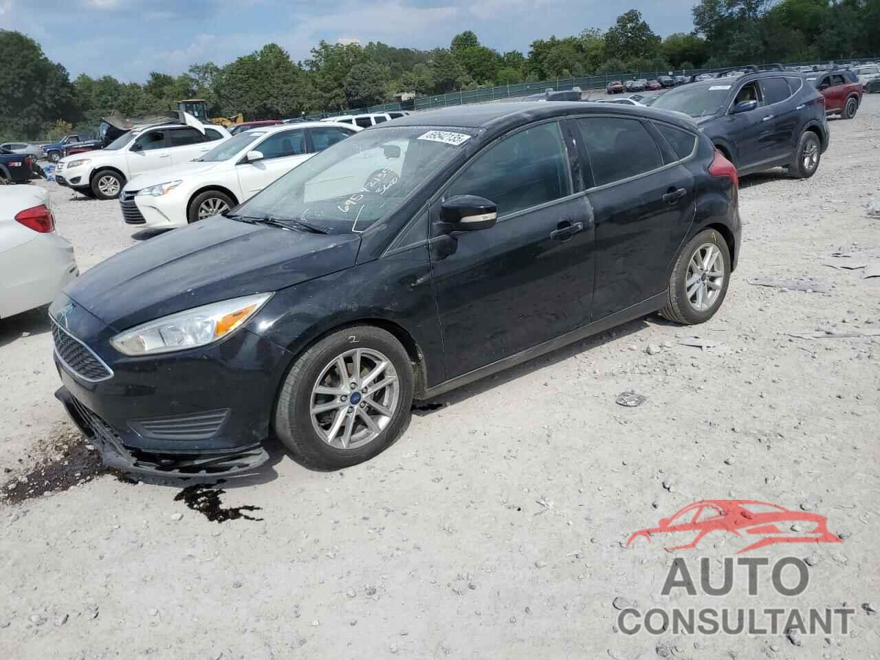 FORD FOCUS 2016 - 1FADP3K28GL402215