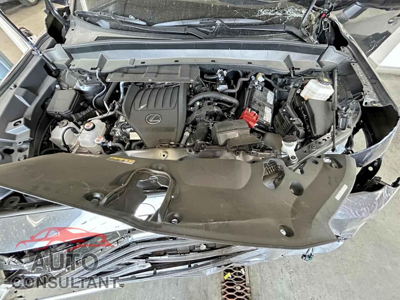 LEXUS UNKNOWN 2026 - 5TDAAAB65TS082494