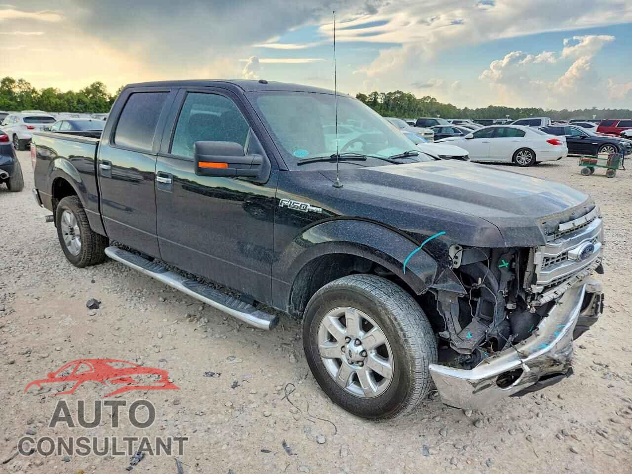 FORD F150 2013 - 1FTEW1CM7DFD40273