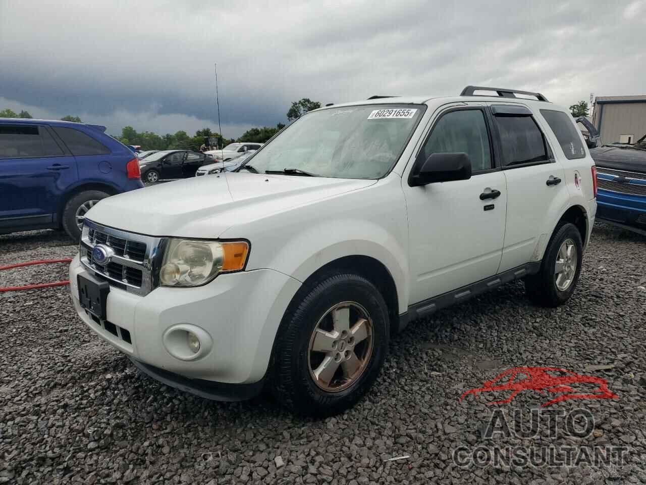 FORD ESCAPE 2011 - 1FMCU0DG0BKB99806