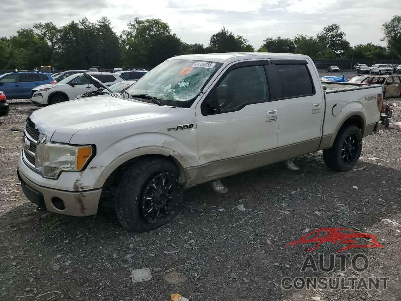 FORD F-150 2010 - 1FTFW1EV0AFD17150