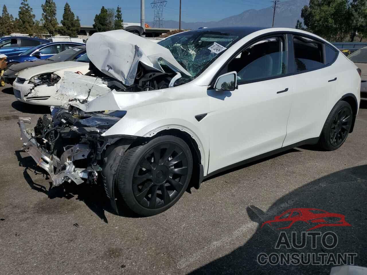 TESLA MODEL Y 2021 - 5YJYGDEE2MF242161