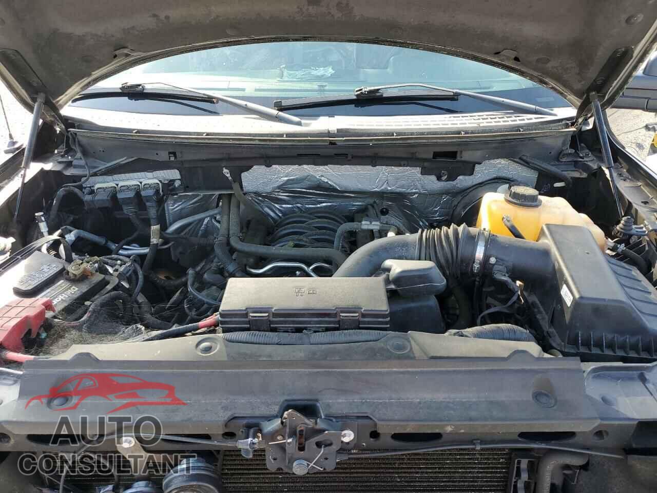 FORD F-150 2013 - 1FTFX1CF8DFD62964