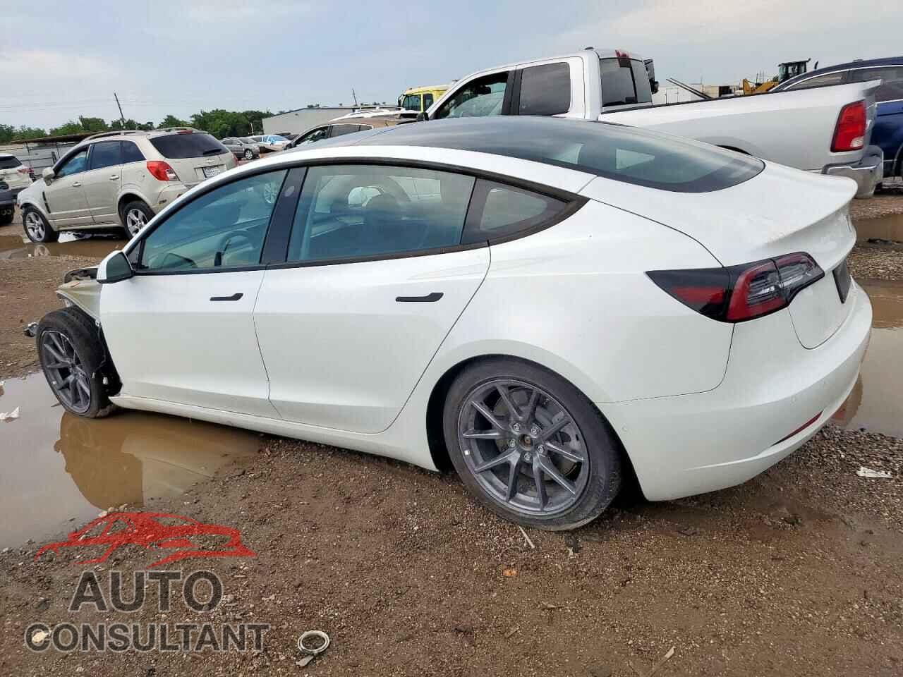 TESLA MODEL 3 2021 - 5YJ3E1EA0MF981802
